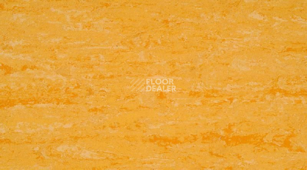 Линолеум Linodur Sport 1074 Straw Yellow фото 1 | FLOORDEALER